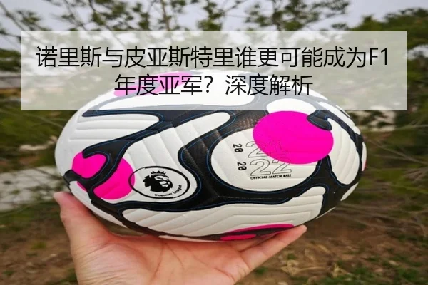 诺里斯与皮亚斯特里谁更可能成为F1年度亚军？深度解析