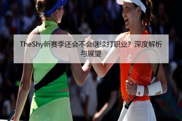 TheShy新赛季还会不会继续打职业？深度解析与展望